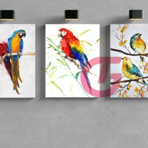 Premium 3D Canvas 3in1 Combo s13