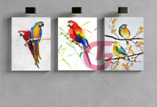 Premium 3D Canvas 3in1 Combo s13