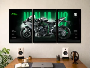 Kawasaki Ninja H2 – Green Fury